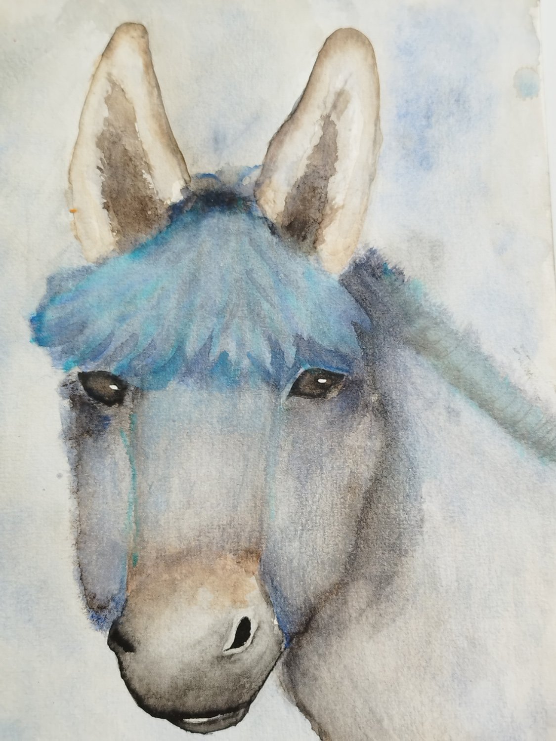 Esel/ Aquarell
21x29,7 cm