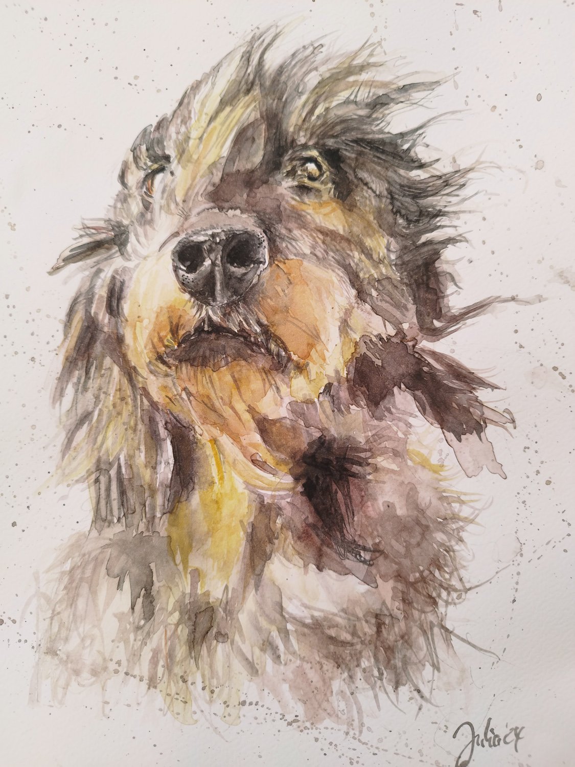 Dackel/ Aquarell/ A4