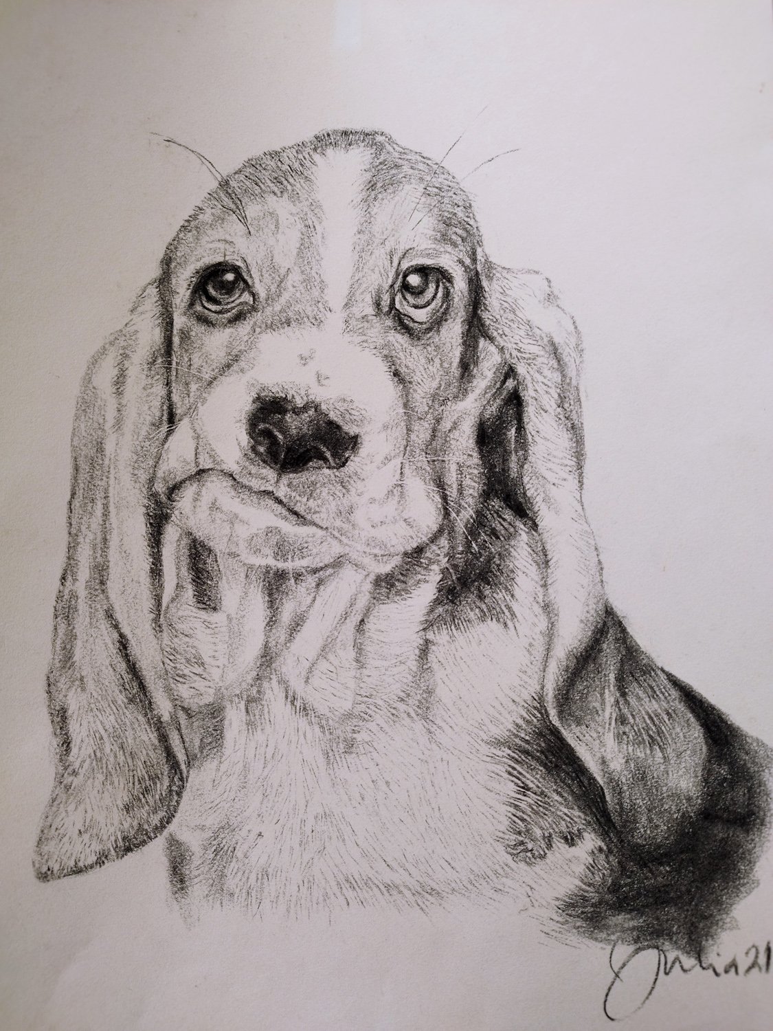 Kohlezeichnung „Beagle“
29,7x42 cm